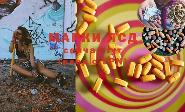 прущие грибы Алексеевка