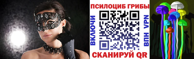Псилоцибиновые грибы Cubensis  МЕГА tor  Дудинка  хочу  